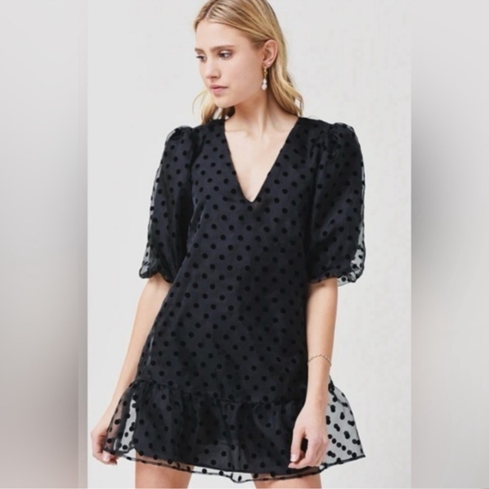 LAVENDER BROWN Burnout Polka Dot Organza Mini Dress Puff Sleeve Ruffle Babydoll